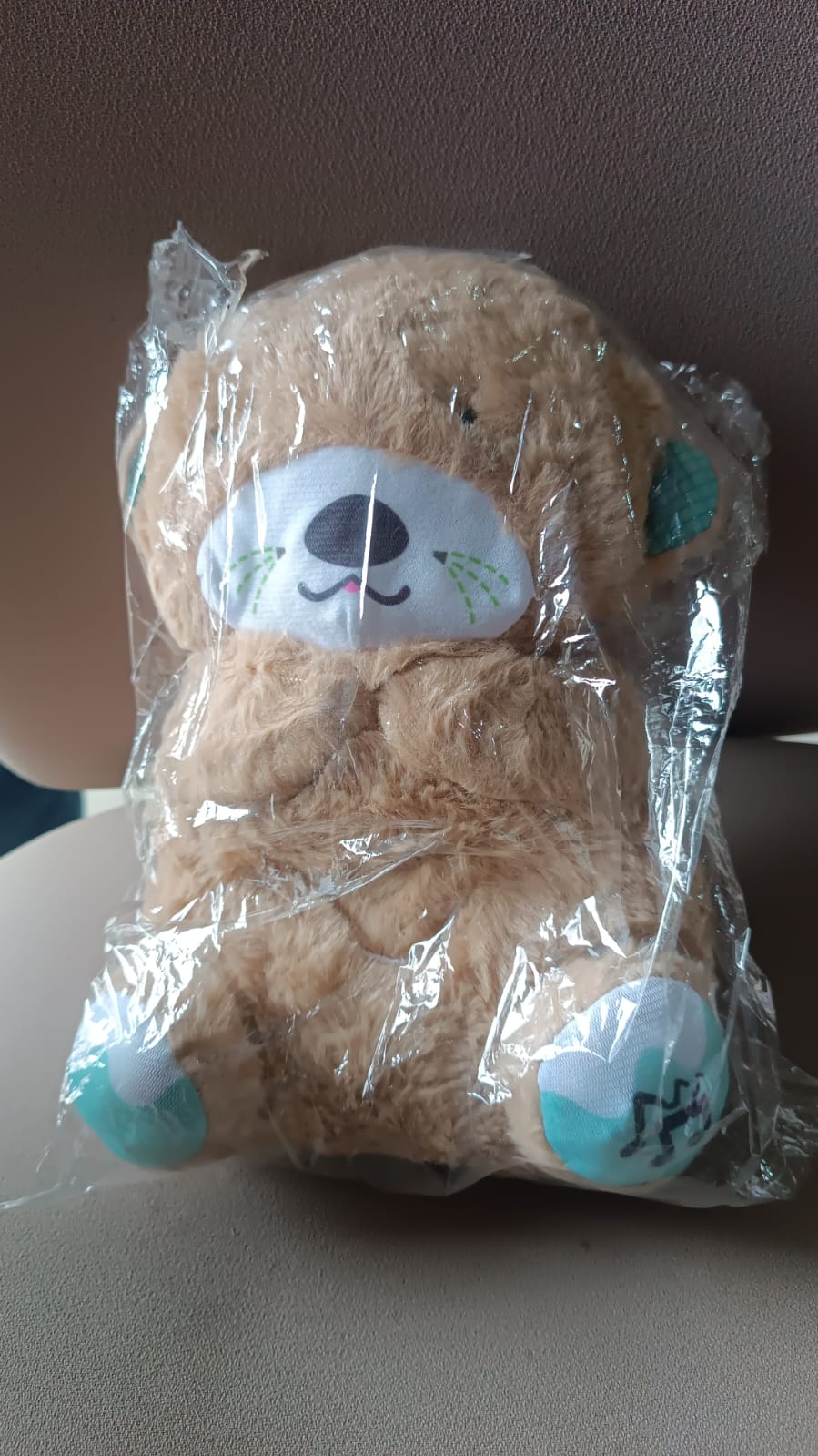 LED Light Musical Teddy Bear