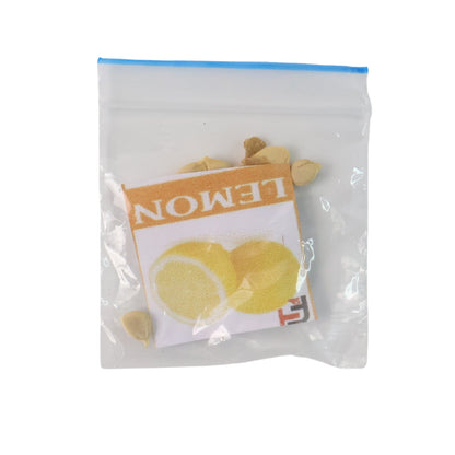 Fruit Seeds Set